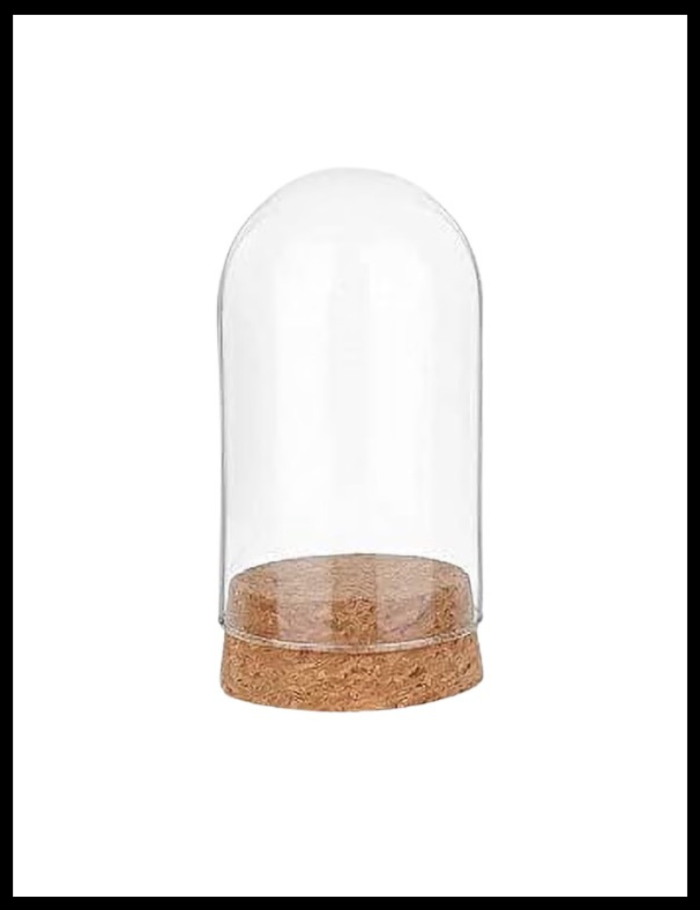 Clear glass dome with cork base on a white background